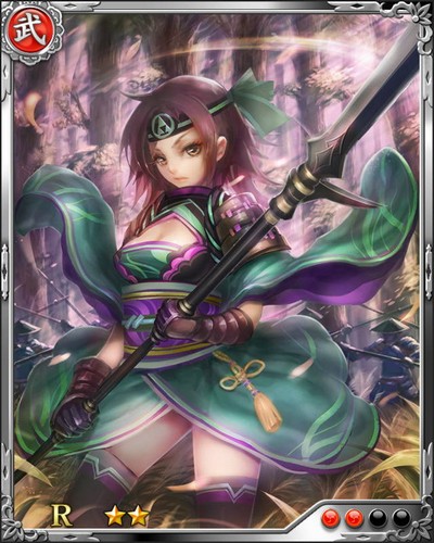 《戰國炎舞》R武將[忠純女丈夫]平野長泰